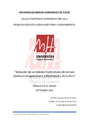 TFG Nicolas Martinez, Alejandro.pdf.jpg