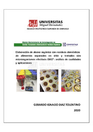 TFM  Díaz Tolentino, Gerardo Ignacio .pdf.jpg