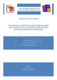 Caruana Santiago, Pablo TFGBiotec 2014_15.pdf.jpg