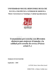 TFM Ruiz  Aracil, María Celeste.pdf.jpg