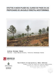 TFG AINHOA PALOMAR_2020.pdf.jpg