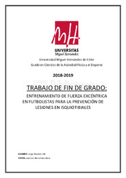 TFG-Navarro Lillo, Jorge.pdf.jpg
