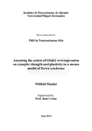 Doctoral Thesis Wilfrid Mazier.pdf.jpg