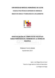 TFG García Garví, José Miguel.pdf.jpg