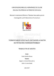 TFM Sánchez Bravo, Paola.pdf.jpg