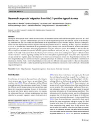 Neuronal tangential migration from Nkx2.1‑positive hypothalamus.pdf.jpg