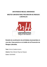 FIGUEROA_VASQUEZ_DIANA_MARCELA_TFM_Censurado.pdf.jpg
