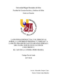 TFG-ALEXANDRA CAMPOS LÓPEZ.pdf.jpg