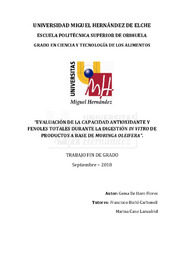 TFG De Haro Flores, Gema.pdf.jpg