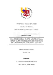 TD Bernabeu Sánchez, Eduardo.pdf.jpg