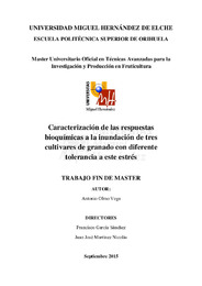 TFM Olmo Vega, Antonio.pdf.jpg