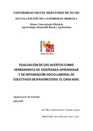 TFM Torralba Alcaraz, María Dolores.pdf.jpg