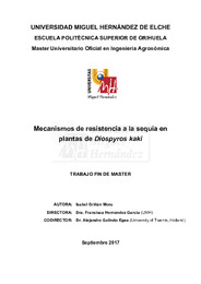 TFM Griñán Mora, Isabel.pdf.jpg
