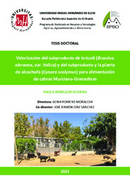 TD Monllor Guerra, Paula.pdf.jpg