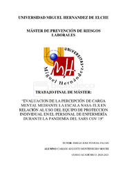 MONTENEGRO_MOURE_CARLOS_TFM.pdf.jpg