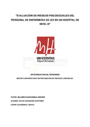 Escribano_Martínez_David_TFM.pdf.jpg