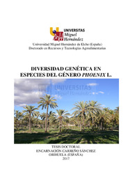 TD Carreño Sánchez, Encarnación.pdf.jpg