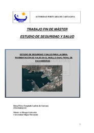 Perez-Templado Ladron de Guevara, Elena TFM.pdfH.pdf.jpg