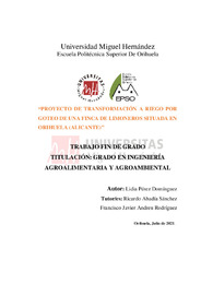 TFG Perez Dominguez, Lidia.pdf.jpg
