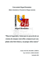 Segarra Larrosa, Manuel TFM.pdfH.pdf.jpg
