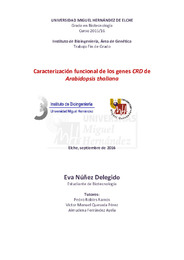 TFG Núñez Delegido, Eva.pdf.jpg