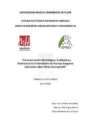 TFG Iván Ortuño Hernández.pdf.jpg