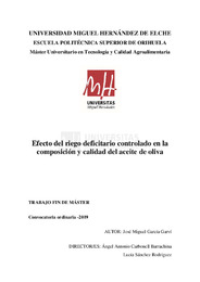 TFM García Garví, José Miguel.pdf.jpg