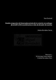 Andrea Bernabeu Garcia.pdf.jpg
