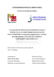 Tesis Vicente Salar.pdf.jpg