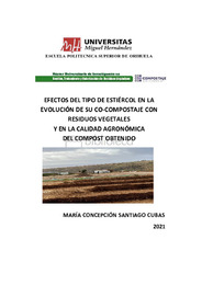 TFM Santiago Cubas, María Concepción.pdf.jpg