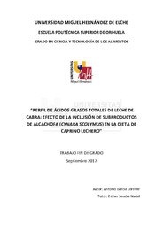 TFG García Lorente, Antonio.pdf.jpg