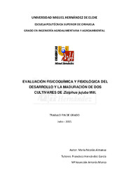 TFG Nicolás Almansa, María.pdf.jpg