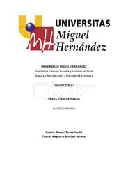 TFG-Torres Agulló, Manuel.pdf.jpg
