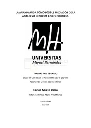 TFG-Mirete Parra, Carlos.pdf.jpg