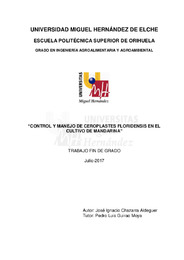 TFG Chazarra Aldeguer, José Ignacio.pdf.jpg
