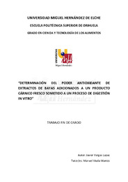 TFG Vargas Lapaz, Javier.pdf.jpg