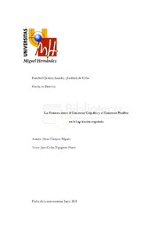 TFG-Vázquez Mínguez, Alicia.pdf.jpg