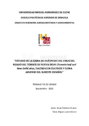TFG Pacheco Vinaroz, Bryan.pdf.jpg