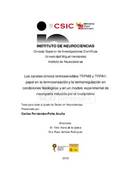 TD Fernández-Peña Acuña, Carlos.pdf.jpg