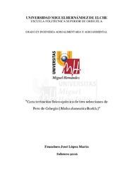 TFG López Marín, Francisco José.pdf.jpg