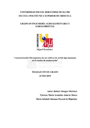 TFG Almagro Martínez, Rafael.pdf.jpg