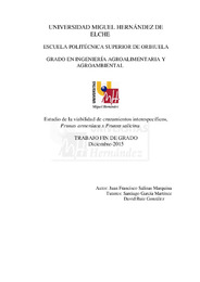 TFG Salinas Marquina, Juan Francisco.pdf.jpg