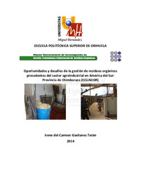 TFM Gavilanes Terán,  Irene del Carmen.pdf.jpg