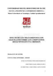 TFM Fernández  Rodríguez, Monserrat.pdf.jpg