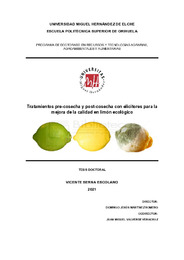 TD Serna Escolano, Vicente.pdf.jpg