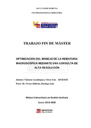 VALENCIA GUADALAJARA, VÍCTOR.pdf.jpg