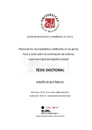 TD - Aracil Marco, Adolfo.pdf.jpg