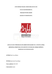 TFG (MARINA PÉREZ CASES).pdf.jpg