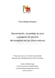 TFG Gallego Zaragoza,Ainoa.pdf.jpg