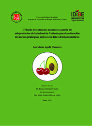 Agulló Chazarra, Luz María.pdf.jpg